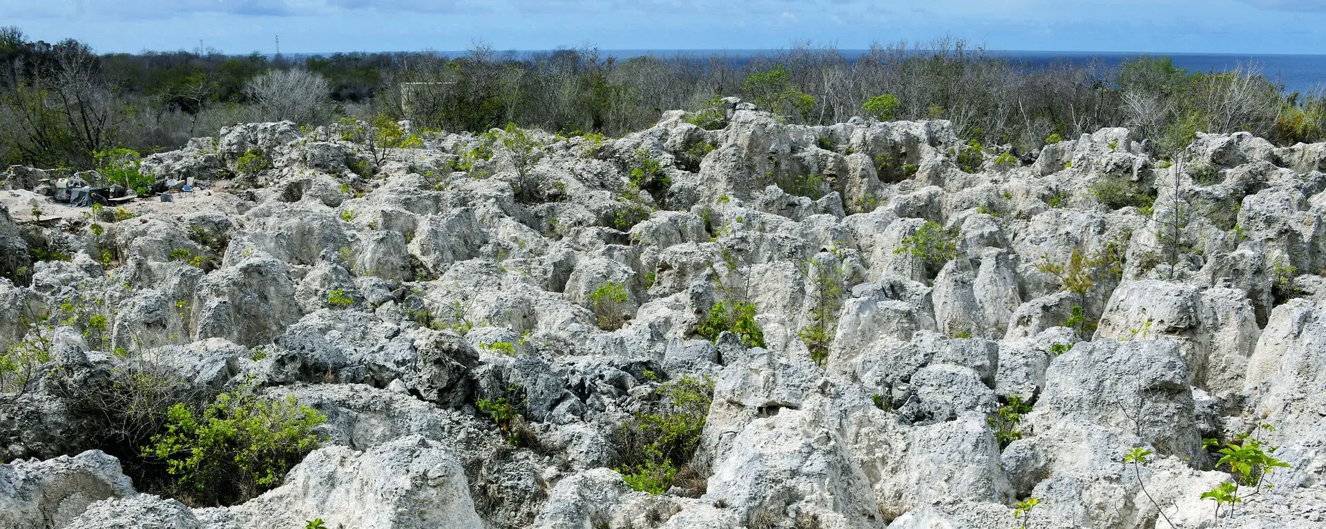 Karstlandschaft im Landesinneren von Naoero (Nauru)