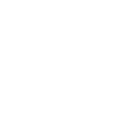 Icon Weltkugel