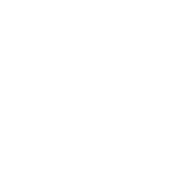 Icon Weltkugel